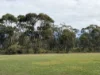 84 Whyte Road, Emu, Vic 3475-Image