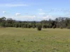 84 Whyte Road, Emu, Vic 3475-Image