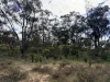 84 Whyte Road, Emu, Vic 3475-Image