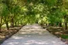 840 Back Eildon Road, Eildon, Vic 3713-Image