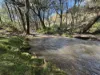 840 The Glen Road, Jerrong, NSW 2580-Image