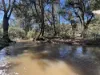 840 The Glen Road, Jerrong, NSW 2580-Image
