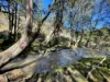 840 The Glen Road, Jerrong, NSW 2580-Image