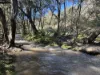 840 The Glen Road, Jerrong, NSW 2580-Image