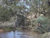 840 The Glen Road, Jerrong, NSW 2580-Image