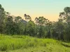 8454 Cunningham Highway, Tarome, Qld 4309