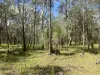 8454 Cunningham Highway, Tarome, Qld 4309-Image