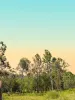 8454 Cunningham Highway, Tarome, Qld 4309-Image