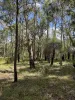 8454 Cunningham Highway, Tarome, Qld 4309-Image