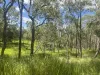 8454 Cunningham Highway, Tarome, Qld 4309-Image