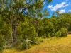 85 Noola Road, Bogee, NSW 2849-Image
