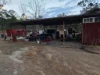 850 Gladstone Monto Road, Calliope, Qld 4680-Image