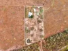 851 Old Gayndah Road, Dunmora, Qld 4650-Image