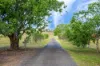 853 Gresford Road, Mitchells Flat, NSW 2330-Image