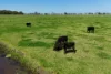 86 Church Lane, Smithtown, NSW 2440-Image