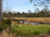 87 Wulkuraka Connection Road, Karrabin QLD 4306-Image