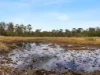 87 Wulkuraka Connection Road, Karrabin QLD 4306-Image