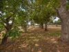 87 Wulkuraka Connection Road, Karrabin QLD 4306-Image