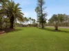 87 Wulkuraka Connection Road, Karrabin QLD 4306-Image