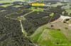 870 Bessell Road, Rosa Brook WA 6285-Image