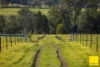 873 Upper, Monkerai NSW 2415-Image