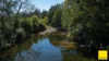 873 Upper, Monkerai NSW 2415-Image