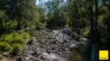 873 Upper, Monkerai NSW 2415-Image