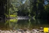 873 Upper, Monkerai NSW 2415-Image