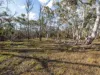 874 Sandy Point Road, Lower Boro, NSW 2580-Image