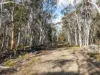 874 Sandy Point Road, Lower Boro, NSW 2580-Image