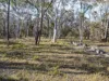 874 Sandy Point Road, Lower Boro, NSW 2580-Image