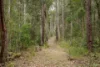 876 Smiths Creek Road, Kundabung NSW 2441-Image