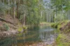 876 Smiths Creek Road, Kundabung NSW 2441-Image
