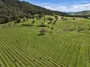 8792 Murray River Road, Walwa, Vic 3709-Image