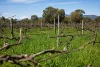 8792 Murray River Road, Walwa, Vic 3709-Image