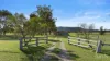 88 Hill Street, Broke, NSW 2330-Image