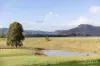 88 Hill Street, Broke, NSW 2330-Image
