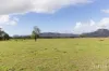 88 Hill Street, Broke, NSW 2330-Image
