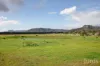 88 Hill Street, Broke, NSW 2330-Image