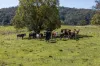 88 Kiamba Road, Kiamba, Qld 4560-Image
