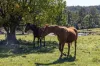 88 Kiamba Road, Kiamba, Qld 4560-Image