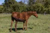 88 Kiamba Road, Kiamba, Qld 4560-Image