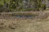 88 Kiamba Road, Kiamba, Qld 4560-Image