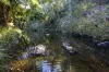 88 Kiamba Road, Kiamba, Qld 4560-Image