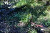 88 Kiamba Road, Kiamba, Qld 4560-Image
