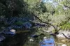 88 Kiamba Road, Kiamba, Qld 4560-Image