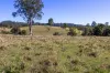 88 Kiamba Road, Kiamba, Qld 4560-Image