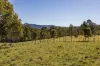 88 Kiamba Road, Kiamba, Qld 4560-Image