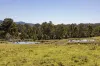 88 Kiamba Road, Kiamba, Qld 4560-Image