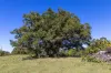 88 Kiamba Road, Kiamba, Qld 4560-Image